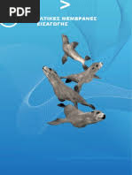 Image result for Pseudoeriosema borianii