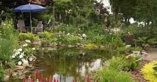 Doch nicht nur ein großer #teich kann dir diesen #traum erfüllen. Gartenteich Anlegen Schritt Fur Schritt Zum Wasserparadies Mein Schoner Garten