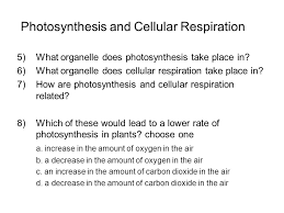 1 i believe cellular respiration only occurs in plant cells.cellular respiration occurs in both plant and animal cells. Photosynthesis And Cellular Respiration Ppt Video Online Download