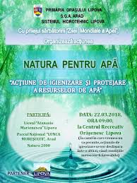 Decizia instituirii acestei sărbători a fost luată în cadrul conferinței națiunilor unite pentru mediu și dezvoltare de la rio de janeiro, la 22 decembrie 1992. Primaria Lipova