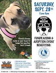 For the sake of the animals, they limit the number of people they let in. Riders To The Rescue Fundraiser Adoption Event Motorcycle Shop Indianapolis Southside Harley Davidson