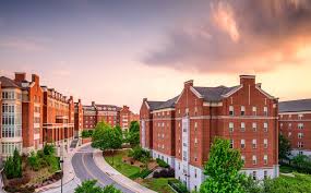 We did not find results for: Fabulous University Of Georgia Dorm Inspiration List Your Bliss