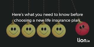 The benefit provided can generally be used to pay for groceries, bills or any other expenses. What Is A Life Insurance Guaranteed Insurability Option Lion Ie