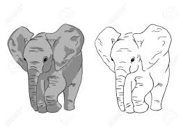 Baby Elephant Sketches On White Background Set Of Simple Drawing Of Elephant Royalty Free Cliparts Vectors And Stock Illustration Image 123841360