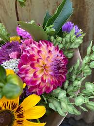 Jen Len Květ (Petrov nad Desnou), IČO 08095451, adresa a telefon • Firmy.cz