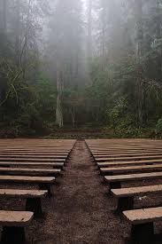 Maybe you would like to learn more about one of these? Guerneville Ca Wedding Google Search Forest Wedding Forest Wedding Ceremony Redwood Forest Wedding