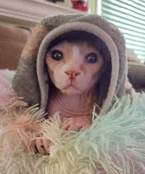 it's always about him