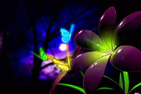 Download Free Images 3d Moving Wallpapers For Mobile Butterfly Wallpaper Neon Wallpaper 3d Animation Wallpaper