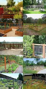 Is something eating your plants? Fence Ideas For A Vegetable Garden