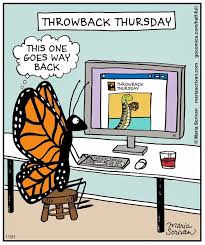 Social Media Throwback Google Search Thursday Humor Throwback Thursday Social Media Humor
