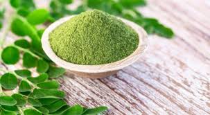 زيت المورينجا العربي.مميز بفوائده للشعر والبشرة وكذلك مرطب للجلد وله استخدامات عديدة.احصل عليه الان بأسعار مميزة فقط من متجر معصرة القرية النقية. ÙÙˆØ§Ø¦Ø¯ Ø§Ù„Ù…ÙˆØ±ÙŠÙ†Ø¬Ø§ ÙˆØ·Ø±Ù‚ Ø§Ø³ØªÙ‡Ù„Ø§ÙƒÙ‡Ø§ ÙˆÙŠØ¨ Ø·Ø¨