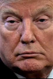 Striking resemblance to Granny Clampett (Beverly Hillbillies)  😂😂😂🤦‍♂️🤦‍♂️🤦‍♂️