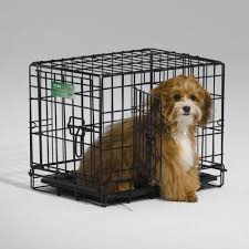 Midwest Icrate Folding Double Door Dog Crate