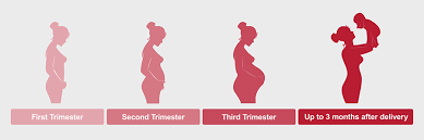 Check spelling or type a new query. Expecting Or Recently Had A Baby Learn About Blood Clots Cdc