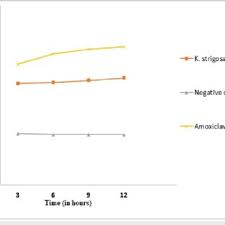 Image result for Kotschya strigosa