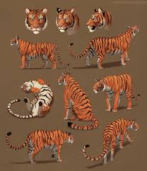 Tigers Doing Stuff And Just Hanging Out By Chiakiro Deviantart Com On Deviantart Tiger Drawing Tiger Illustration Tiger Sketch