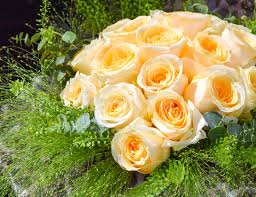 Shining roses and lily joy bouquet. Posy Of Yellow Roses Stock Image Image Of Mothers Present 37483129