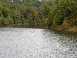 See 6 traveler reviews, 9 candid photos, and laurel lake camping resort is nestled in the breathtaking beauty of southeastern kentucky's. Mountain Laurel Lake 1195 W Hwy 86 Harned Ky 40144 Rental Cabins And Lake Designed F Weekend Getaways In The South Laurel Lake Weekend Getaways For Couples