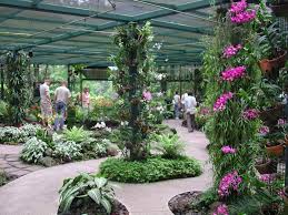 10 Orchid Garden Ideas Most Of The Brilliant And Also Interesting Orchid House Orchids Garden Orchids