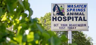 Its convenient location to downtown, the university area, the avenues, federal heights, and sugarhouse, makes it an ideal choice for greater salt lake area. Wasatch Springs Animal Hospital