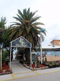 It's a nice place with the. Cactus Jacks Waterfront Bar Grill North Fort Myers Restaurant Reviews Photos Phone Number Tripadvisor