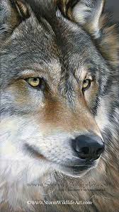 Original Paintings By Scot Storm Ask About Our Payment Plan Option 34 Images Loup Peinture De Loup Chiots Loup