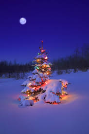 Starry nights so still and blue, good friends. Glowing Christmas Tree In Snow Christmas Tree With Snow Christmas Scenes Christmas Lights