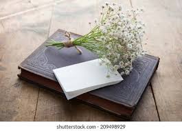 We did not find results for: Vintage Book Small Bouquet Babys Breath Stock Photo Edit Now 209498929