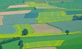 Sunteţi proprietar de teren agricol şi nu îl puteţi exploata? Legea Care ReglementeazÄƒ Vanzarea Terenurilor CÄƒtre StrÄƒini Pe Masa Csat Sapte Modele De Luat In Calcul