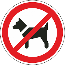 Ausdruck von (freudiger oder verärgerter) überraschung ssynonyme für: Das Mitfuhren Von Hunden Ist Verboten Aufkleber Fur Innen Und Aussen Iso 7010