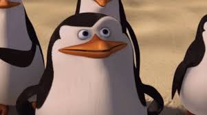 The best gifs are on giphy. Madagascar Meme Gif Madagascar Meme Movie Discover Share Gifs