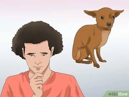 It is also important to know that when animals die their eyes typically remain open. How To Put A Dog To Sleep 7 Steps With Pictures Wikihow