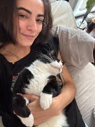 Introduction of adorable cats Victa, Milo, and Miss Abbie