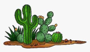 They tend to grow more likely in north and south america. Cactus Desert Transparent Desert Cactus Clipart Hd Png Download Transparent Png Image Pngitem