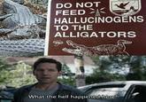 What The Hell Happened Here Know Your Meme