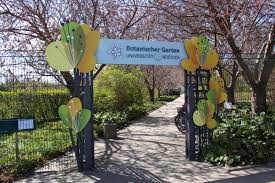 Botanischer garten, im hintergrund das haus der hochseefischer. Botanischer Garten Rostock Undiversell