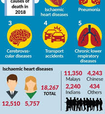 Cause of death refers to the share of all deaths for all ages by underlying causes. Best Fbkl Heart Attack Remains The Leading Cause Of Death In Malaysia For The 14th Year