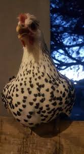 We did not find results for: This Chicken With Shaped Hearted Spots Interestingasfuck