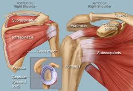 This, though, depends on the level of injury. Rotator Cuff Injuries Treatment How To Manage The Pain Heal