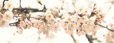 Hd wallpapers and background images Kpop Gifs Primo Gif Latest Animated Gifs