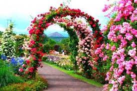 Beautiful Garden Hd Wallpaper Beautiful Flowers Garden Garden Images Beautiful Gardens