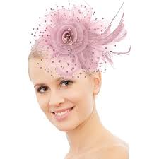 Fascinator Hat for Women Flower Feather Mesh Net Veil Hat Weeding Bridal  Headband Gatsby Cocktail Tea Party Headwear : Amazon.ca: Clothing, Shoes &  Accessories