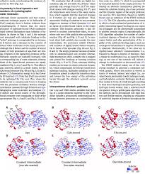 Heterogeneous Dynamics In The Dimer At Key Catalytic Steps Download Scientific Diagram