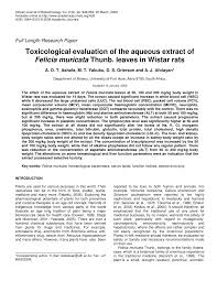 Image result for Felicia muricata