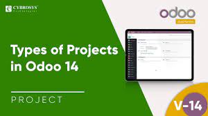 Types Of Projects In Odoo 14 Odoo Projects In 2021 Projects Type Project Management