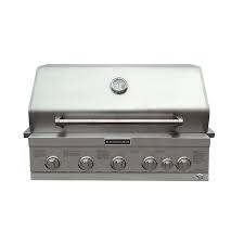 liquid propane and natural gas grill