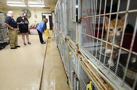 Save a pet dothan al. Animal Rescue Aspca Officials Make Trip To Dothan Animal Shelter Local News Dothaneagle Com