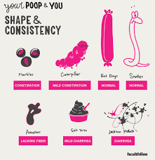 Types Of Poop Appearance Color Consistency Time