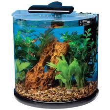 Tetra 10 Gallon Half Moon Aquarium Half Moon 10 Fish Tanks Direct