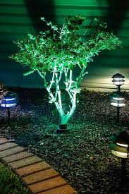 8 Led Malibu Landscape Light Bulb Miniature Wedge Retrofit 39 Lumens Super Bright Leds